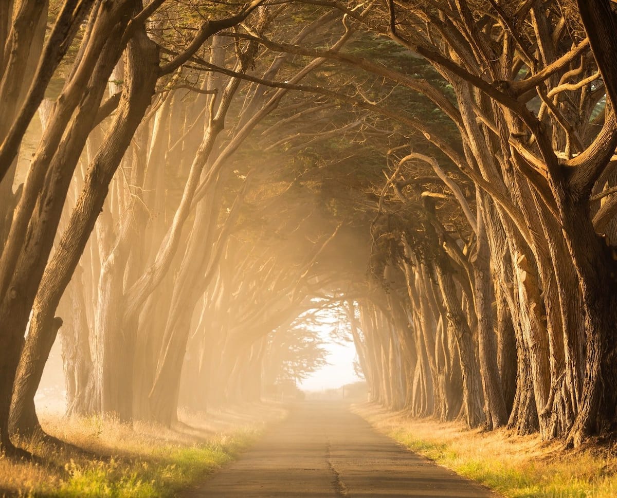 Destination drivers and path pursuers