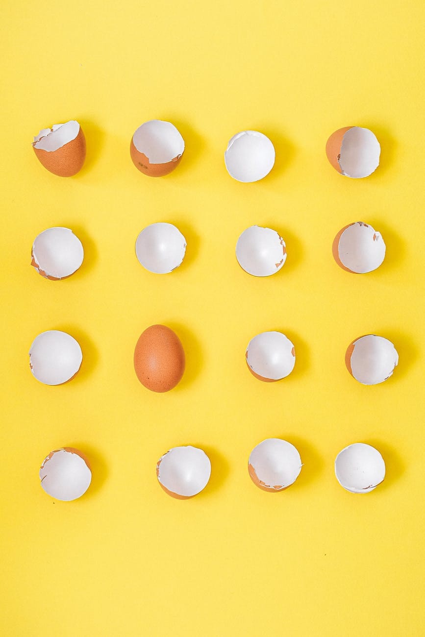 broken eggshells on a yellow background