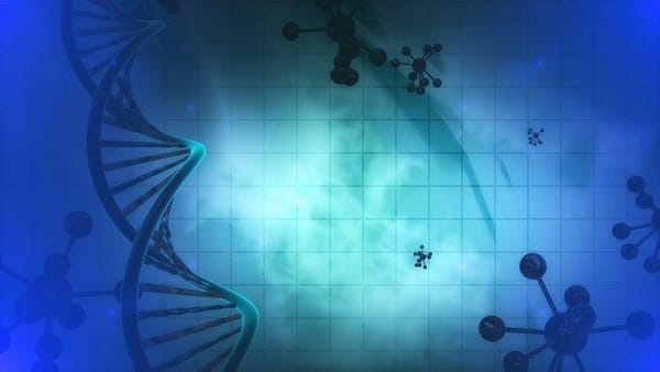 How are mental disorders inherited? (part 2): traditional beliefs
