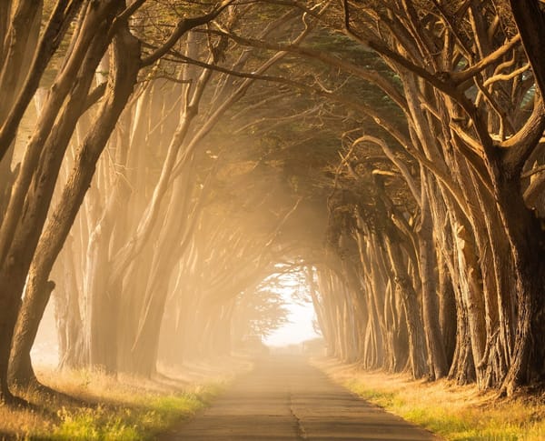 Destination drivers and path pursuers