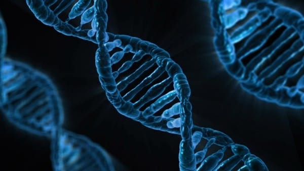 How are mental disorders inherited?