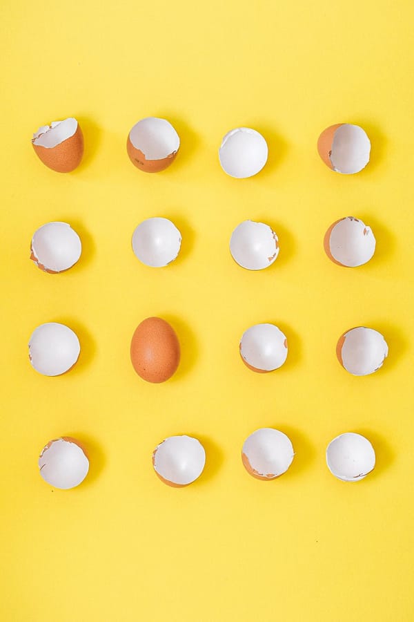 broken eggshells on a yellow background